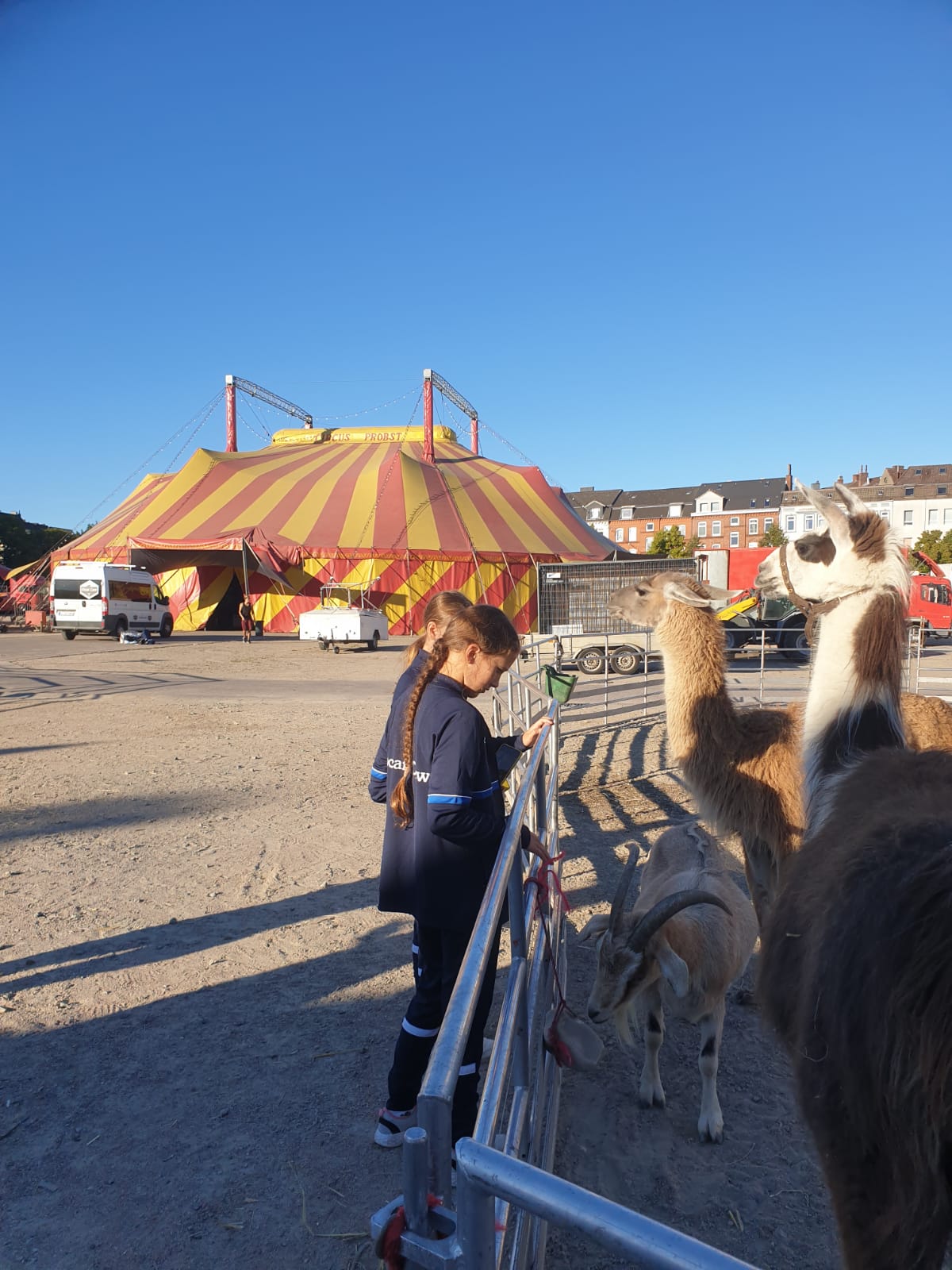 Tiere 2.jpeg